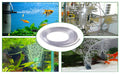 Aquarium Airline Tubing (Clear Flexible Hose)