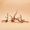 Spider Wood Driftwood (Aquascaping Hardscape)