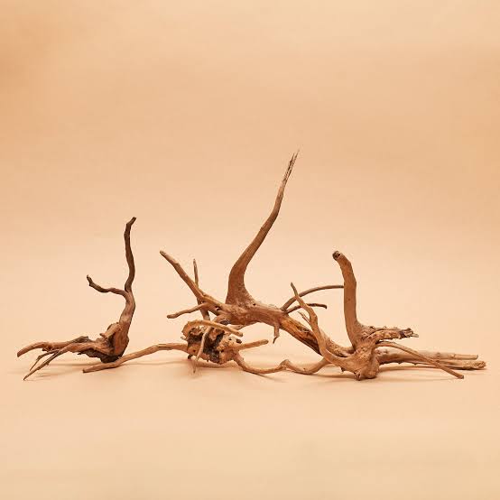 Spider Wood Driftwood (Aquascaping Hardscape)