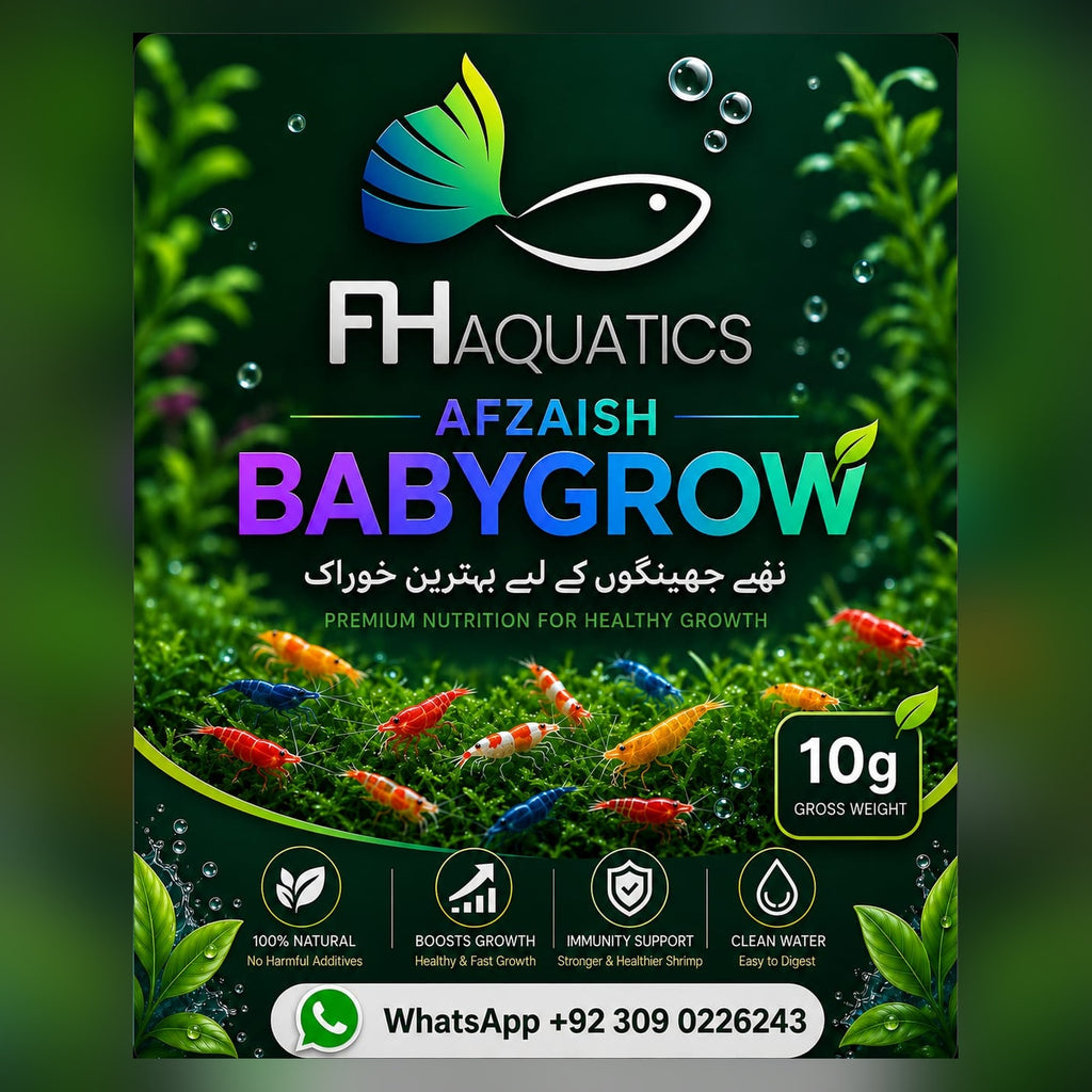 Afzaish BabyGrow — Baby Shrimp Food (10g)