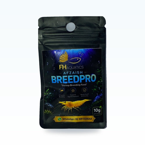 Afzaish BreedPro — Shrimp Breeding Feed (10g)